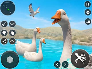 Crazy Goose Simulator