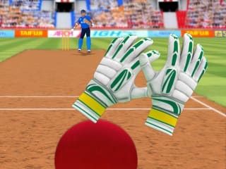 Cricket Fielder Challenge